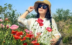 我的好兄弟6免费观看高清